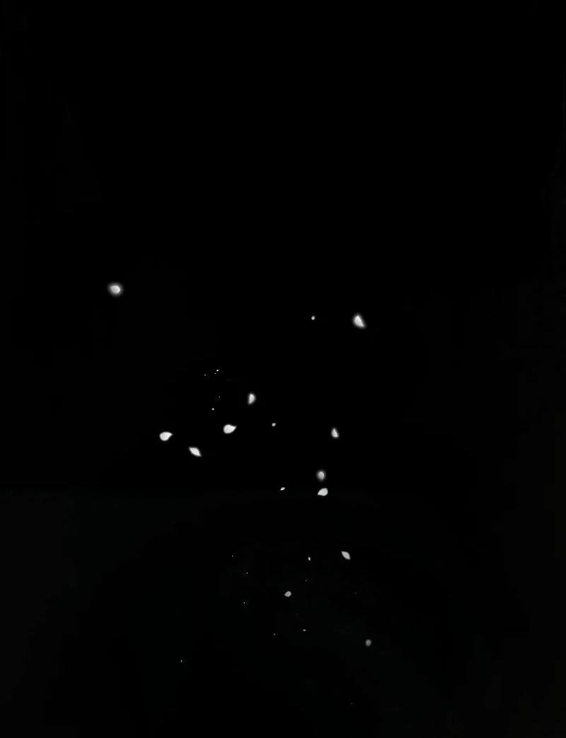 74288157 800 1042 5238